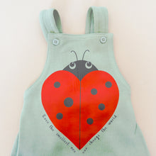 Load image into Gallery viewer, Ladybird Overalls in Sage Green