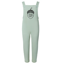 Load image into Gallery viewer, Acorn Fleece Overalls in Sage Green
