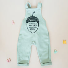 Load image into Gallery viewer, Acorn Fleece Overalls in Sage Green
