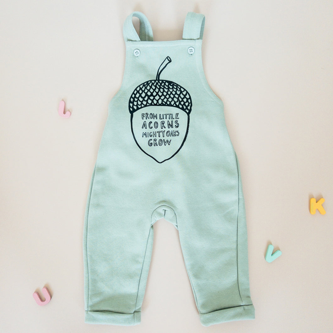 Acorn Fleece Overalls in Sage Green