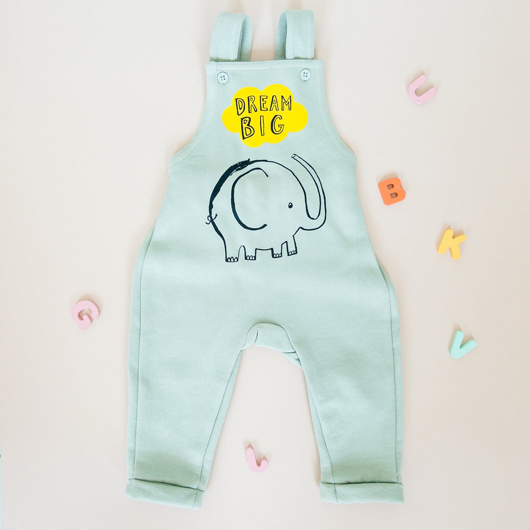 Dream Big Overalls in Sage Green